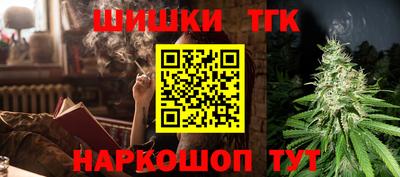 соль ск Новодвинск