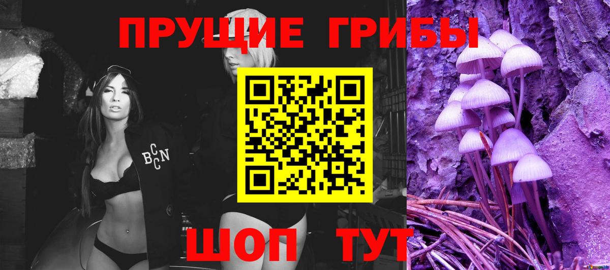 Галлюциногенные грибы мицелий  Вход с VPN  Петровск 